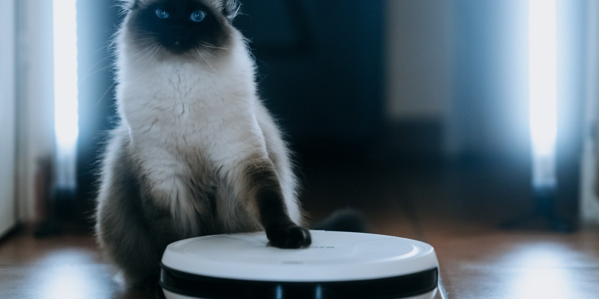 The Evolution of Robot Vacuums: Convenience Meets Cutting-Edge Technology